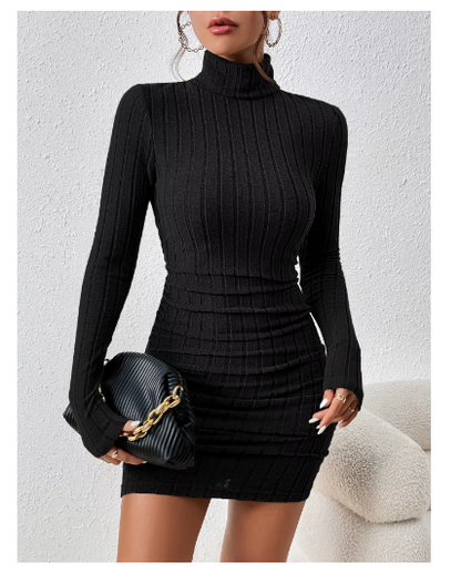 RUANDAI Turtleneck Mini Dress