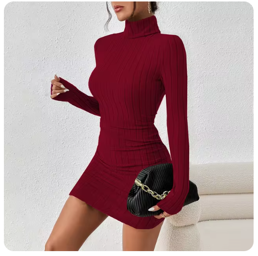 RUANDAI Turtleneck Mini Dress