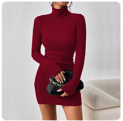 RUANDAI Turtleneck Mini Dress